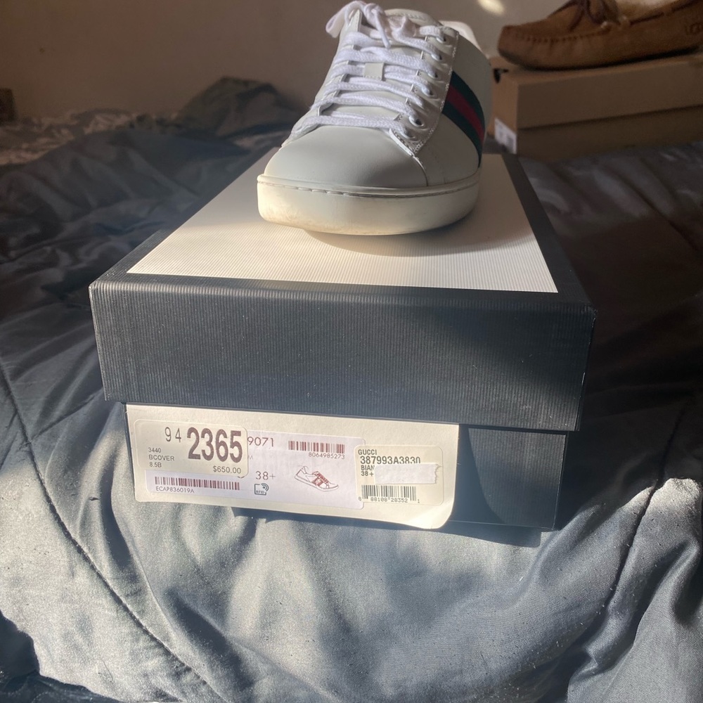 Gucci sneakers